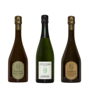 Champagne Smagekasse med 3 flasker – en nøje udvalgt samling, anmeldt af Vintanker, til den perfekte smagsoplevelse.