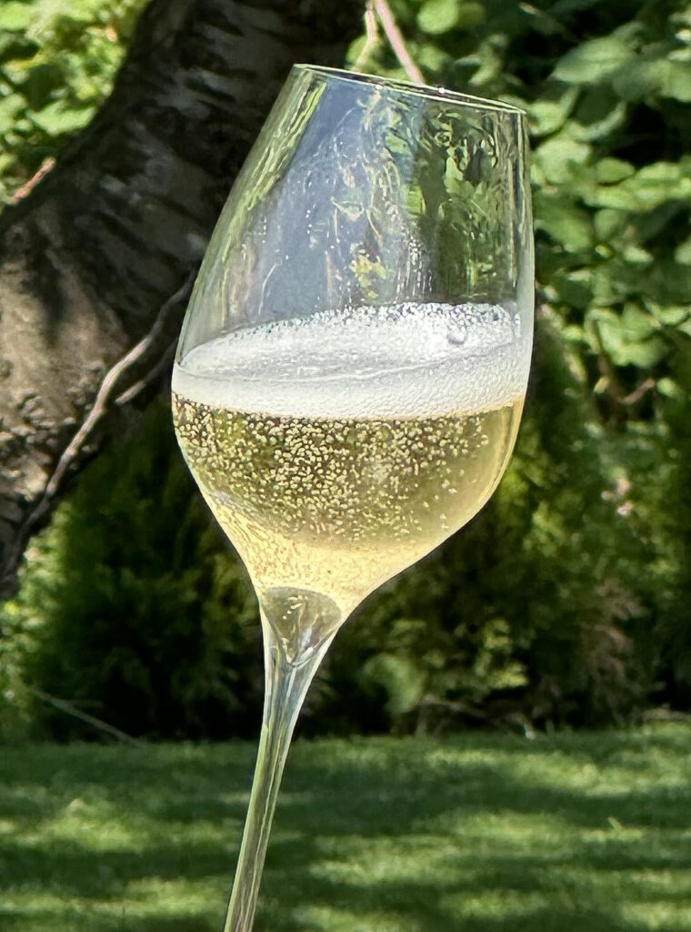 Vores udvalg af champagne består af 6 forskellige flasker.