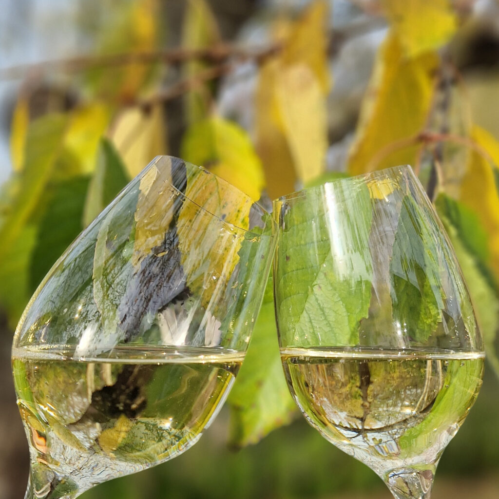 Hos os finder du et nøje udvalgt sortiment af eksklusive champagner fra det anerkendte champagnehus R. Gerbaux i Frankrig.